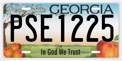 GA license plate PSE1225