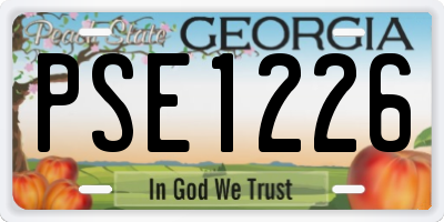 GA license plate PSE1226