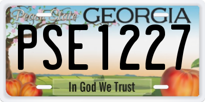 GA license plate PSE1227