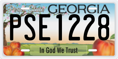 GA license plate PSE1228