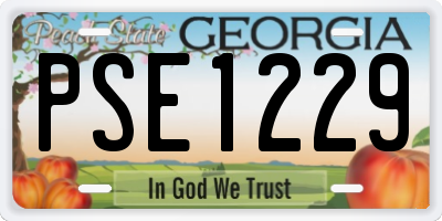 GA license plate PSE1229