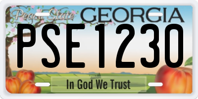 GA license plate PSE1230