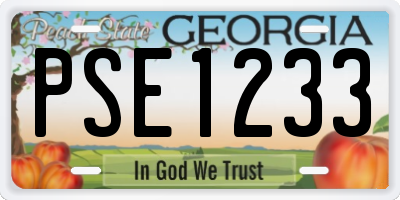 GA license plate PSE1233