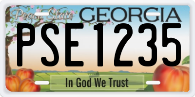 GA license plate PSE1235