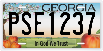 GA license plate PSE1237