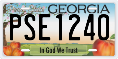 GA license plate PSE1240