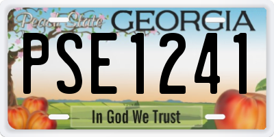 GA license plate PSE1241