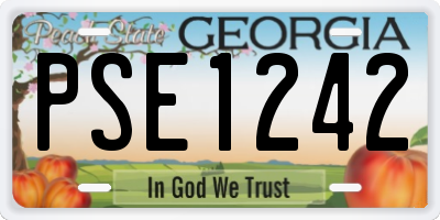 GA license plate PSE1242