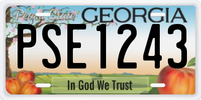 GA license plate PSE1243