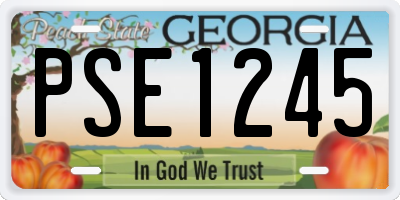 GA license plate PSE1245