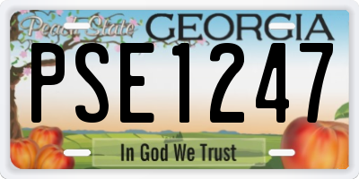 GA license plate PSE1247