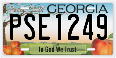 GA license plate PSE1249