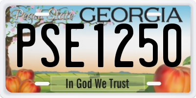 GA license plate PSE1250