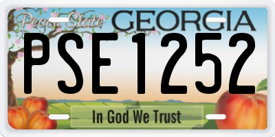 GA license plate PSE1252