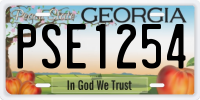GA license plate PSE1254