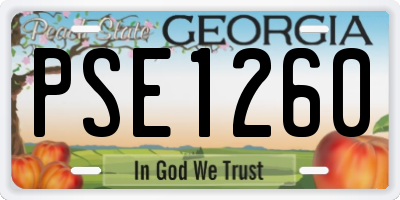 GA license plate PSE1260