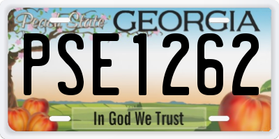 GA license plate PSE1262