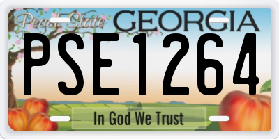 GA license plate PSE1264