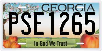 GA license plate PSE1265