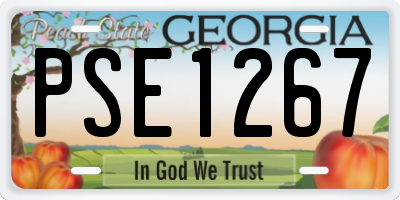 GA license plate PSE1267