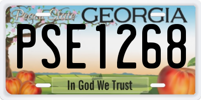 GA license plate PSE1268