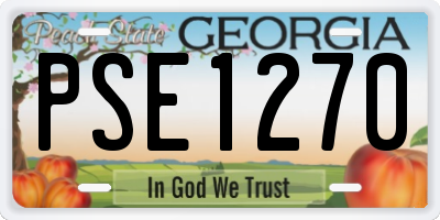 GA license plate PSE1270