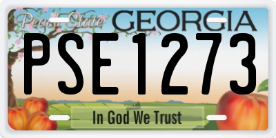 GA license plate PSE1273