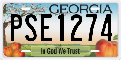 GA license plate PSE1274
