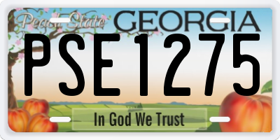 GA license plate PSE1275