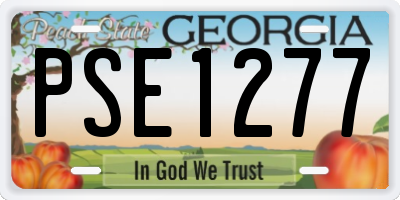 GA license plate PSE1277