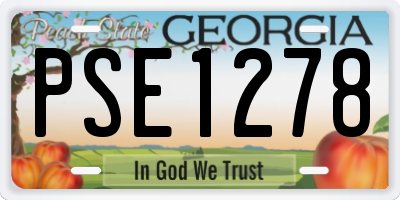 GA license plate PSE1278