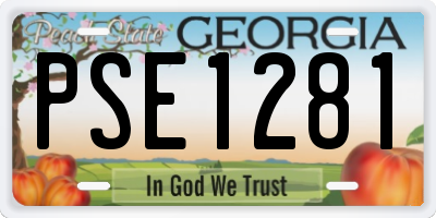 GA license plate PSE1281