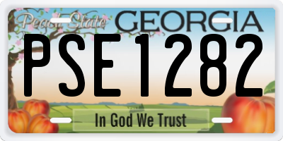 GA license plate PSE1282