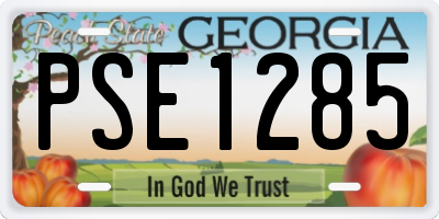 GA license plate PSE1285