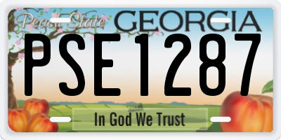 GA license plate PSE1287