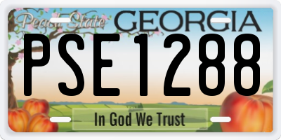 GA license plate PSE1288