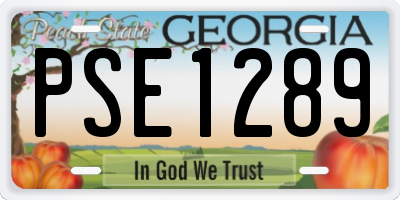 GA license plate PSE1289