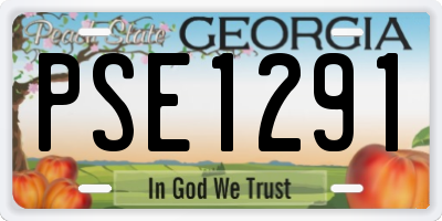 GA license plate PSE1291