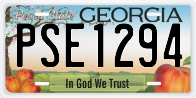 GA license plate PSE1294