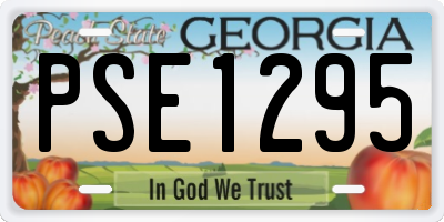 GA license plate PSE1295