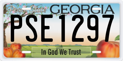 GA license plate PSE1297