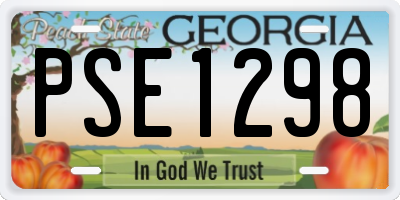 GA license plate PSE1298