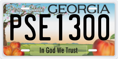 GA license plate PSE1300