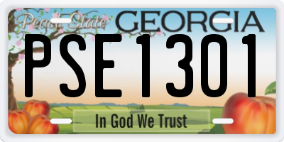 GA license plate PSE1301