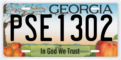 GA license plate PSE1302