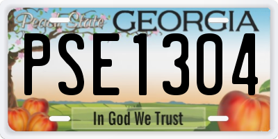 GA license plate PSE1304