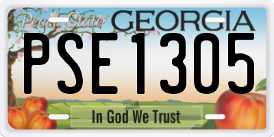 GA license plate PSE1305