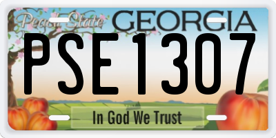 GA license plate PSE1307