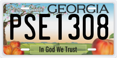 GA license plate PSE1308