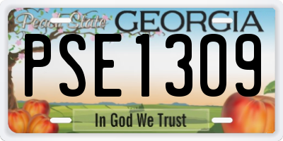 GA license plate PSE1309